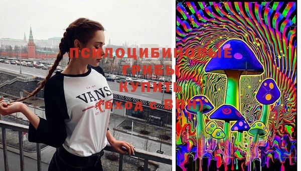 ГАЛЛЮЦИНОГЕННЫЕ ГРИБЫ Алексин