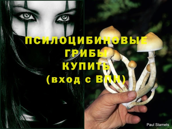 мяу мяу мука Абаза