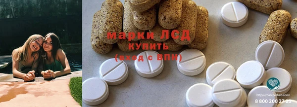 ГАЛЛЮЦИНОГЕННЫЕ ГРИБЫ Алексин