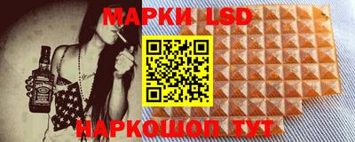 крисы Пенза