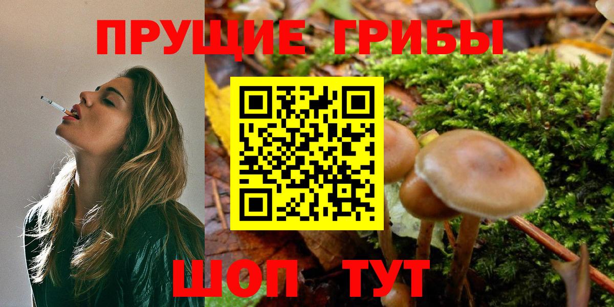 Сыктывкар  Галлюциногенные грибы мицелий  Вход с VPN 
